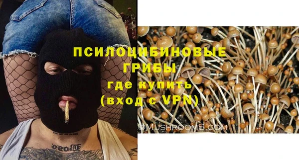 марихуана Снежногорск